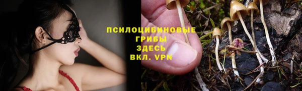 прущий лед Алексеевка