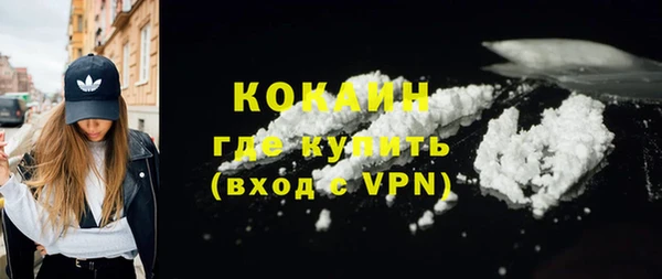 гидра Инсар