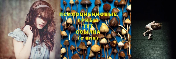 MESCALINE Баксан