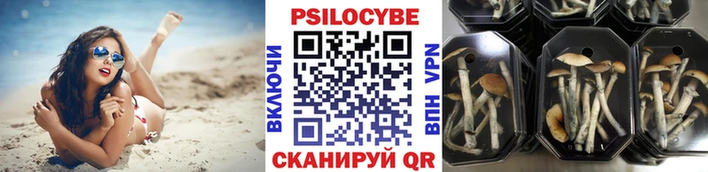 Псилоцибиновые грибы прущие грибы  Курганинск 