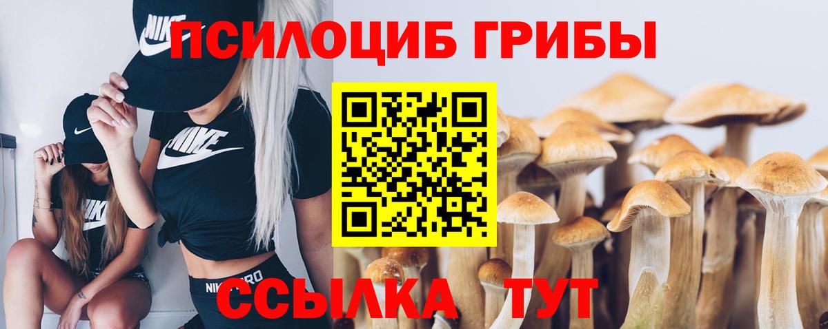 Курганинск  Галлюциногенные грибы Cubensis  Вход с VPN 